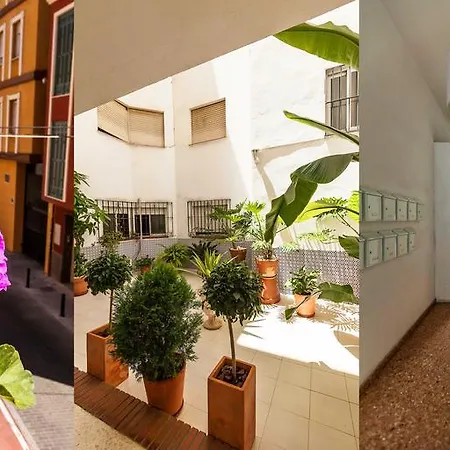 Apartment Urbanchicmalaga 3 Bedroom Spacious Quiet Historic *