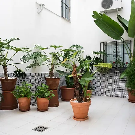 Urbanchicmalaga 3 Bedroom Spacious Quiet Historic Apartment